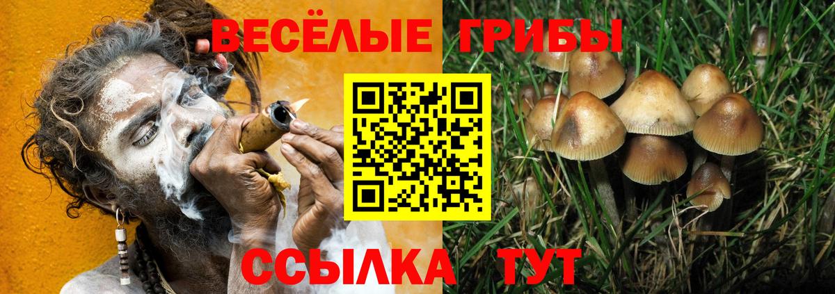 Камышин  Галлюциногенные грибы мухоморы  Вход с VPN 
